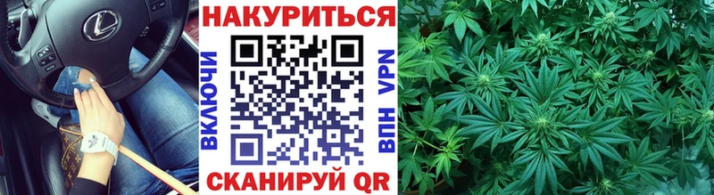 Конопля план  Невельск 